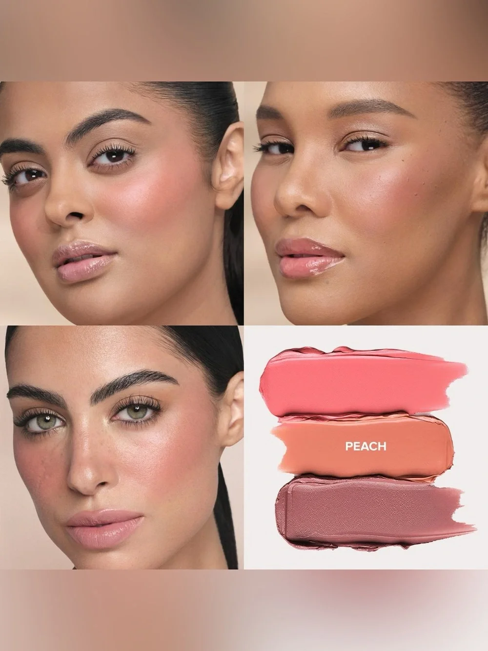 Anastasia Beverly Hills this multi